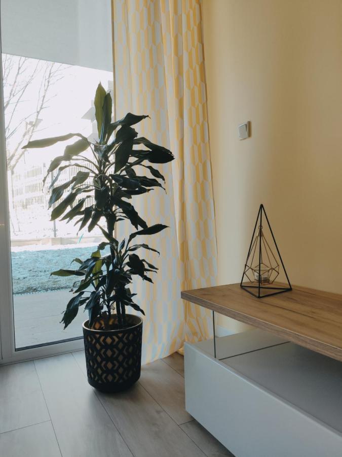Przytulny apartament z ogródkiem Cracovia Exterior foto